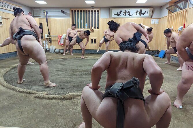 Morning Sumo Practice Viewing in Tokyo - Stop 2: Naruto-beya stable practice—up close, floor-level, and real