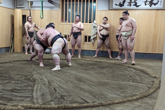 Morning Sumo Practice Viewing in Tokyo - Price and value: what $99.08 buys you in Tokyo