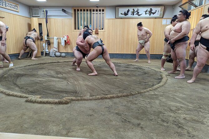 Morning Sumo Practice Viewing in Tokyo - Who should book this morning sumo practice—and who should pause first