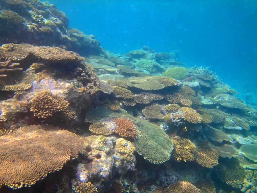 Motobu: Kayak and Snorkel Private Booking - Motobu’s Blue Lagoon Kayaking: between reef edge and shore