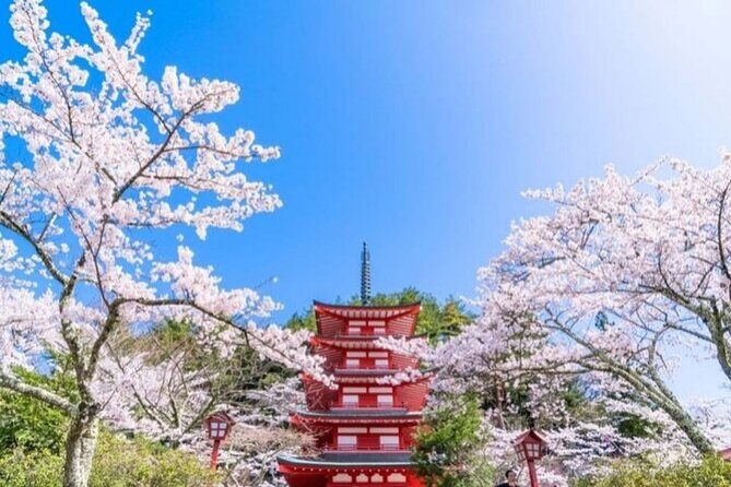 Mount Fuji 5th Station, Arakurayama, Oshino Hakkai and Hot Spring - Mount Fuji 5th Station vs Arakurayama Sengen Park: Know Which One You Get