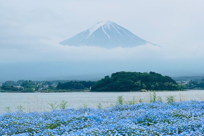 Mount Fuji Adventures Private English Tour With Hotel Pick Up - The private vehicle details that actually matter