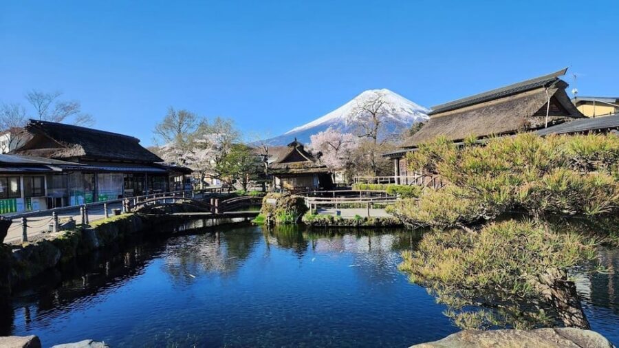 Mount Fuji and Hakone Day tour with English speaking Drivers - Who this tour is best for