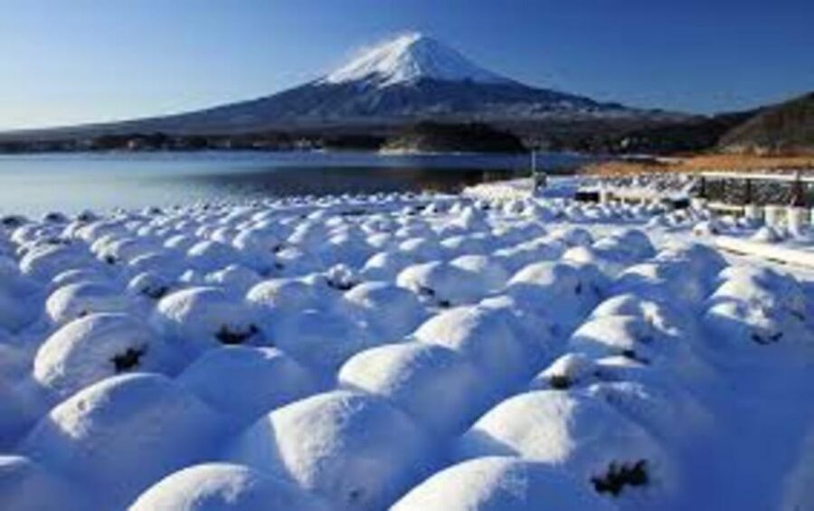 Mount Fuji and Hakone Day tour with English speaking Drivers - Starting from Tokyo with private, air-conditioned comfort