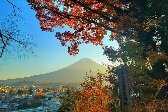 Mount fuji and Hakone Full day private sightseeing tour - Owakudani volcanic fumes and Lake Ashi pirate boat views