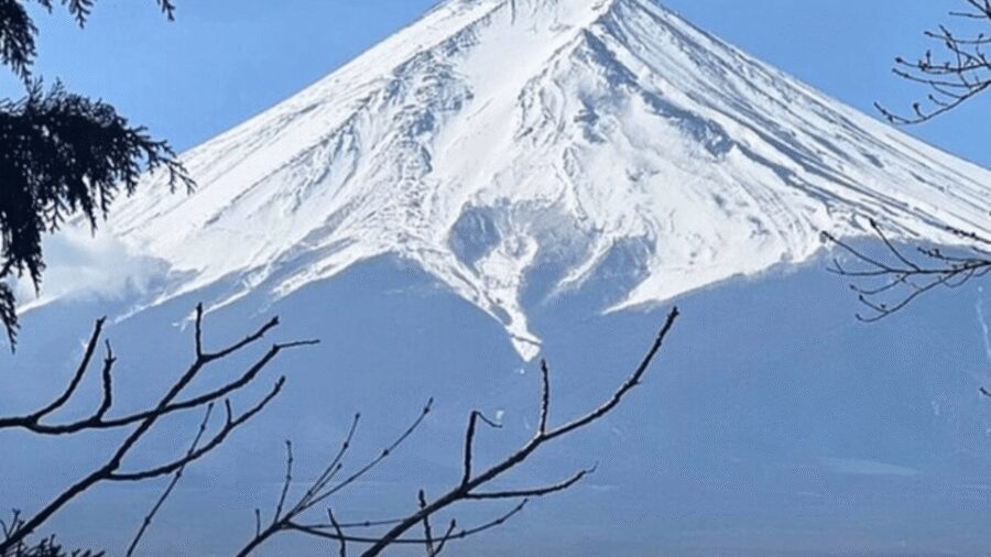 Mount fuji and Hakone full day private tour with English gui - Oshino Hakkai: the eight-ponds introduction to the Fuji Five Lakes area