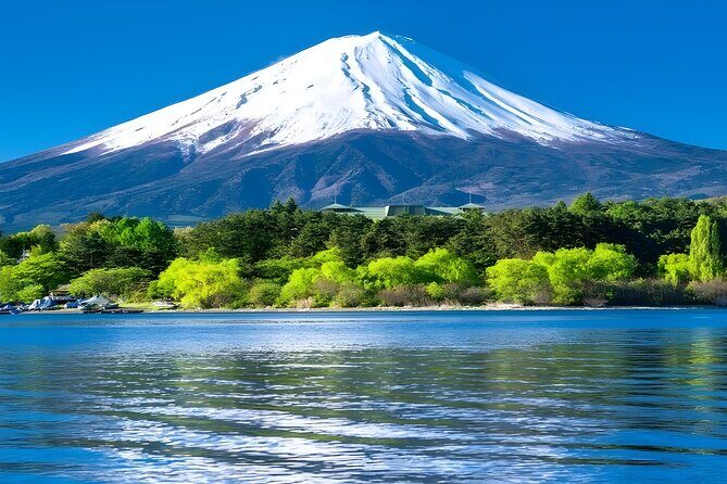 Mount Fuji and Hakone Private day trip from Tokyo - Owakudani Valley and Hakone Ropeway: Volcano Up Close, Then Up in the Air