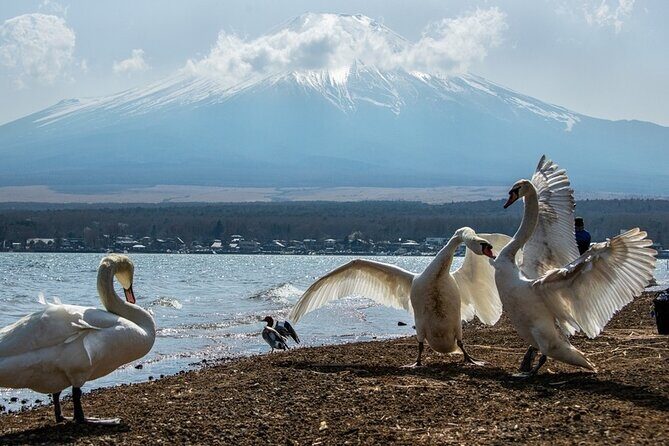 Mount Fuji and Hakone Private day trip from Tokyo - Private Driver Flexibility: How Custom Stops Can Actually Save You Time