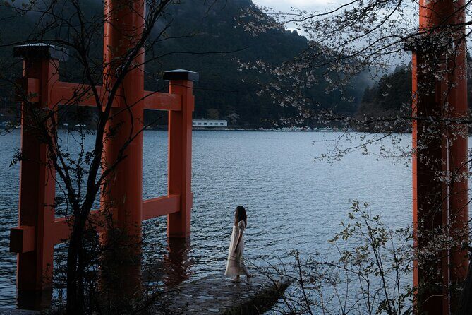 Mount Fuji and Hakone Private day trip from Tokyo - Price and Value: What $392.47 Covers for Up to 4