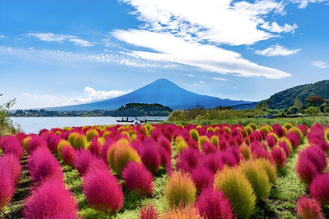 Mount Fuji and Hakone Private day trip from Tokyo - Practical Tips for Making This Day Work Smoothly