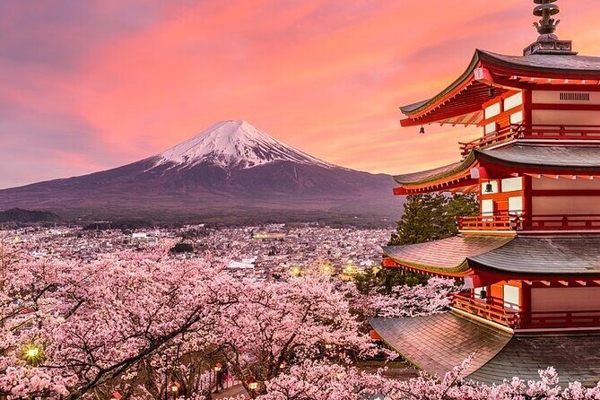 Mount Fuji and Hakone Private Tour by Car with Pickup from Tokyo - Hakone Ropeway to Owakudani: the stop that earns its hype