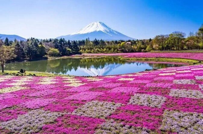Mount Fuji and Hakone Private Tour by Car with Pickup from Tokyo - Lake Ashi Wild Grass Garden: the calm break after the crowds