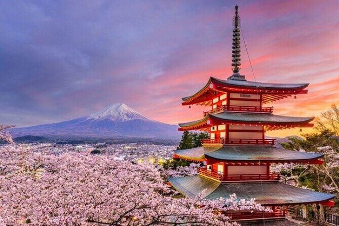 Mount Fuji and Hakone Private Tour by Car with Pickup from Tokyo - Gora Park’s French-style garden: a softer Hakone moment
