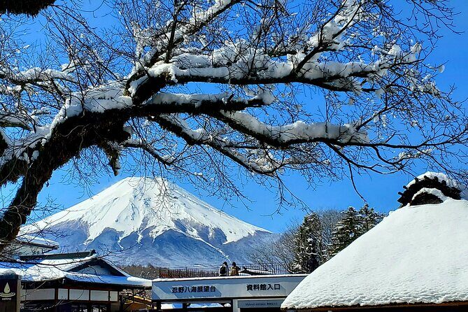Mount Fuji and Hakone Private Tour from Tokyo (Customizable) - Key highlights worth planning for