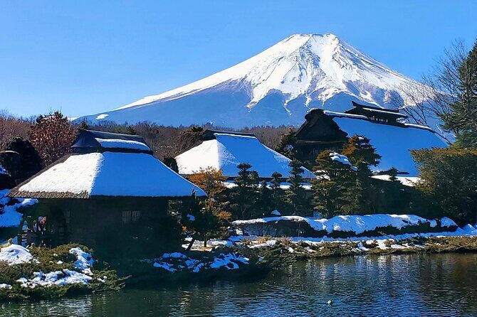 Mount Fuji and Hakone Private Tour from Tokyo (Customizable) - Door-to-door Tokyo pickup and a private-day rhythm