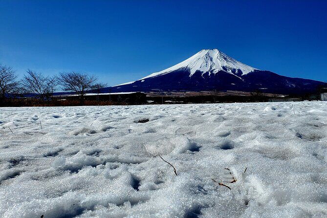 Mount Fuji and Hakone Private Tour from Tokyo (Customizable) - Lake Ashinoko: Fuji views over the water (with optional cruise)
