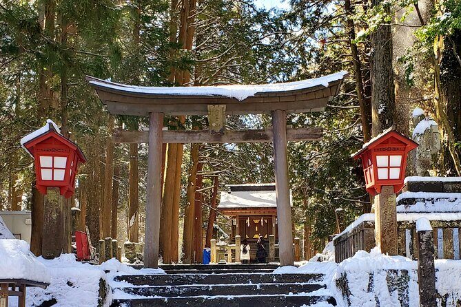 Mount Fuji and Hakone Private Tour from Tokyo (Customizable) - Price and logistics: where your $448 really goes