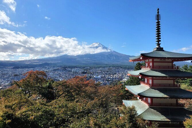 Mount Fuji and Hakone Private Tour from Tokyo (Customizable) - Kitaguchi Hongu Fuji Sengen Jinja: shrine views with meaning