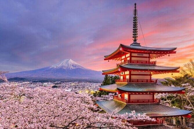Mount Fuji and Hakone Private Tour with Pickup from Tokyo - Key highlights I’d plan my day around