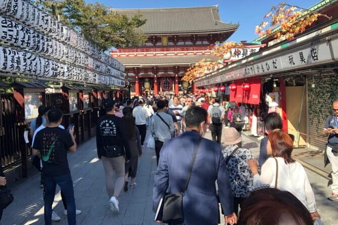 Mount Fuji and Hakone Private Tour with Pickup from Tokyo - Kawaguchiko: your best “big view” window