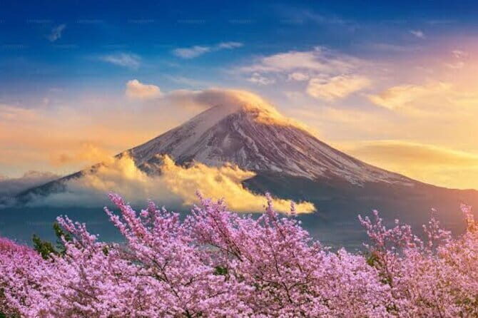 Mount Fuji and Hakone Private Tour with Pickup from Tokyo - Lake Ashinoko + the Peace Torii: Hakone’s signature moment