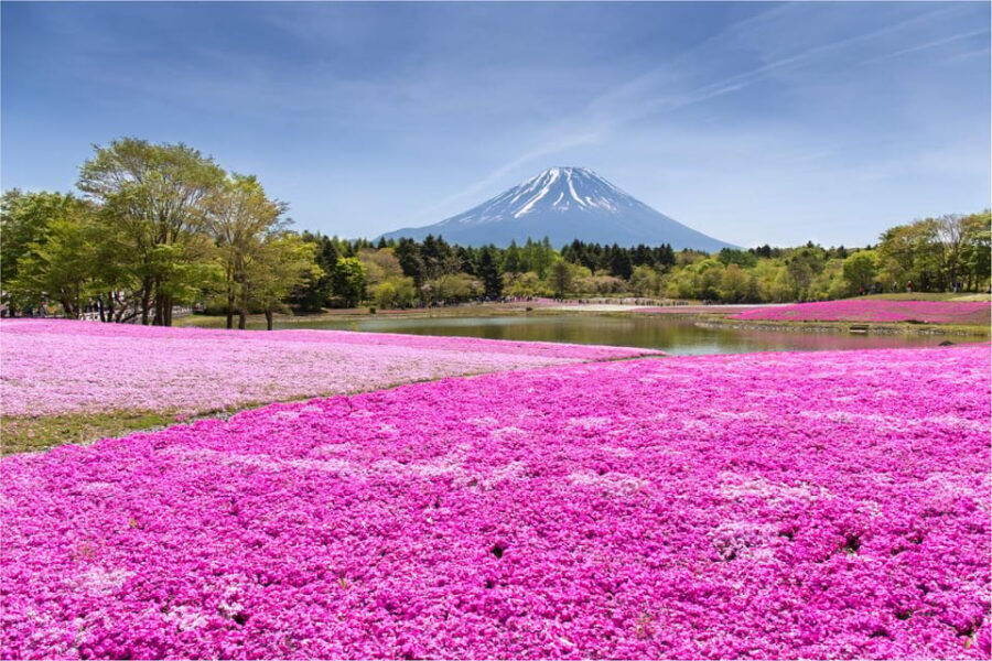 Mount Fuji and Hakone Tour with Personal Driver & Transport - Key things to know before you go