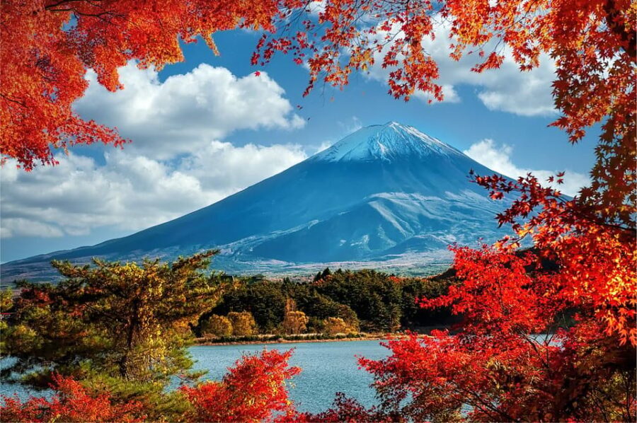 Mount Fuji and Hakone Tour with Personal Driver & Transport - Arakura Fuji Sengen Shrine: the iconic start with a photo window