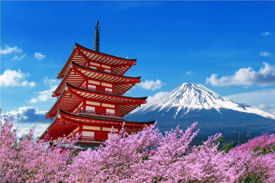 Mount Fuji and Hakone Tour with Personal Driver & Transport - Pickup and drop-off: where you’ll start and end