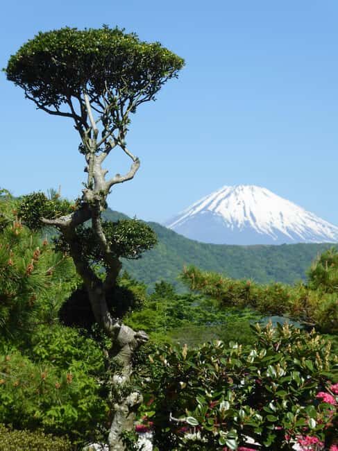 Mount Fuji: Customizable Private Tour By Car With Pickup - Fuji-Q Highland: A Planned Breather or Side Quest