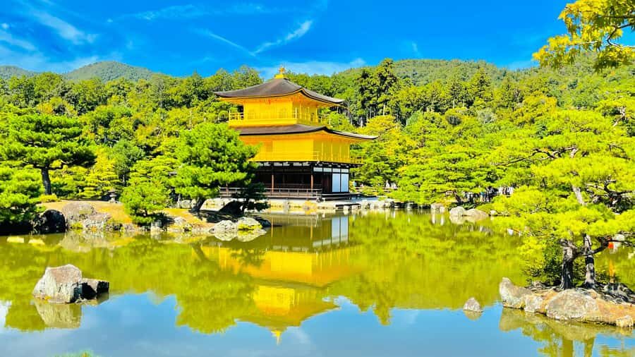 Mount Fuji Customize Private Tour with English Driver - Key Points at a Glance