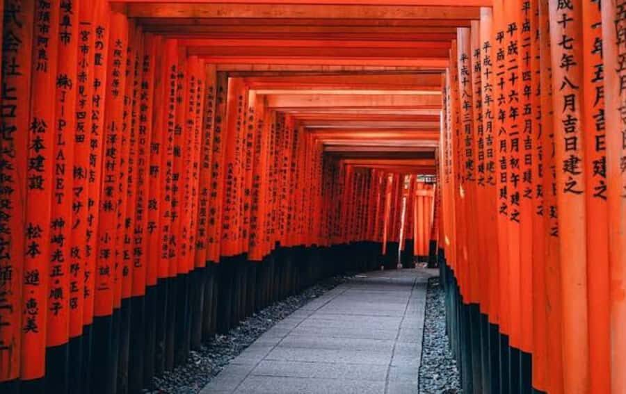 Mount Fuji Customize Private Tour with English Driver - What’s Included (And What You’ll Still Pay For)