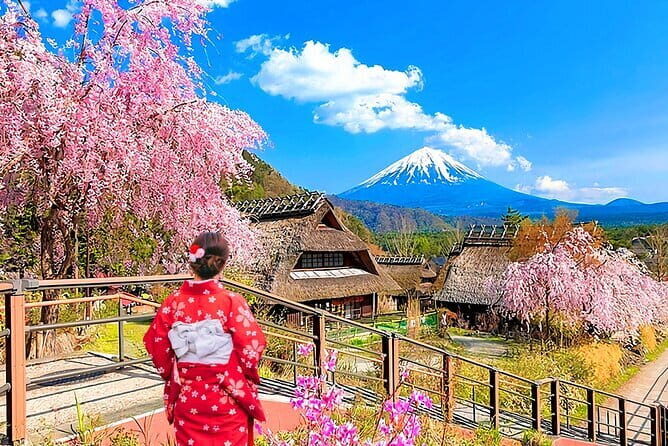 Mount Fuji Day Tour:Lake Kawaguchi, HealingVillage,Oshino Hakkai - Key things to know before you go