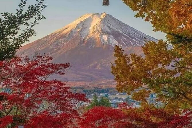 Mount Fuji Day Tour:Lake Kawaguchi, HealingVillage,Oshino Hakkai - A one-day Fuji plan that saves you from Tokyo logistics