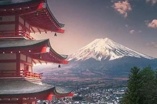 Mount Fuji Day Tour:Lake Kawaguchi, HealingVillage,Oshino Hakkai - Price and what you’re really paying for