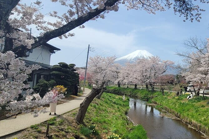 Mount Fuji Full Day Customizable Private Tour with English Guide - Shrines with 1,000-year roots: Kitaguchi Hongu Fuji Sengen Jinja