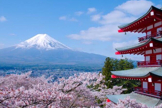 Mount Fuji Full Day Customize Private Tour with English Guide - Your Actual Route: 5th Station to Gotemba, With Stops That Make Sense