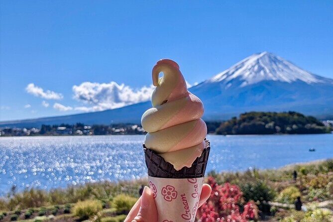 Mount Fuji Full Day Customize Private Tour with English Guide - English Guide vs Private Driver: Set Expectations Up Front