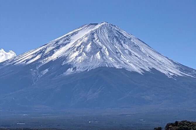 Mount Fuji Full Day Customize Private Tour with English Guide - Who This Tour Suits Best