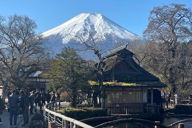 Mount Fuji Full Day Customize Private Tour with English Guide - Price and Logistics: What You Pay For (and What You Don’t)