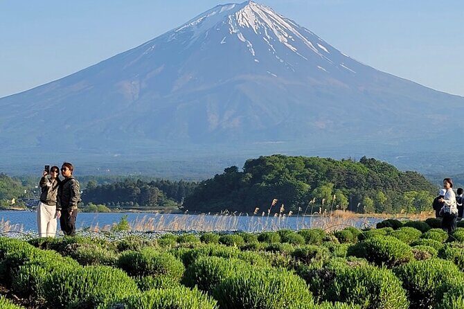 Mount Fuji Full Day Customized Private Tour with English Guide - Stop 2: Oishi Park for classic Fuji-and-lake framing