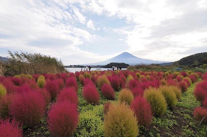 Mount Fuji Full Day Customized Private Tour with English Guide - Stop 6: Narusawa Ice Cave for the wow factor (but plan on fees)