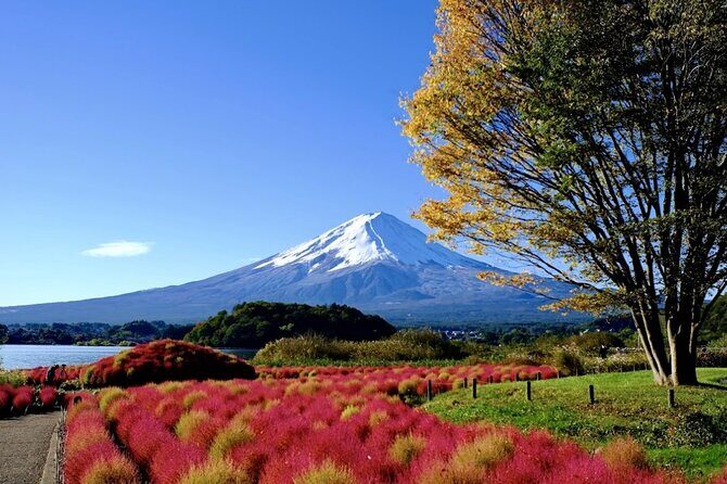 Mount Fuji Full Day Customized Private Tour with English Guide - The drive from Tokyo: comfort isn’t optional
