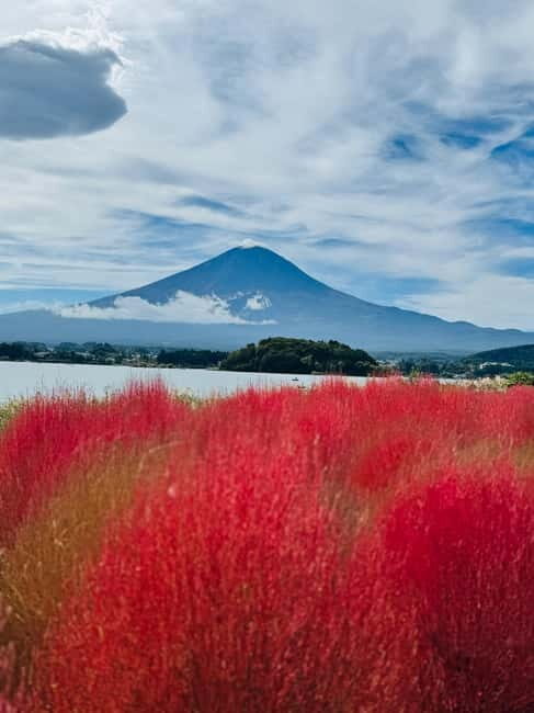 Mount Fuji Full-Day Private Customizable Tour From Tokyo - Ropeway and Cruise Choices: Mt. Kachi Kachi, Lake Ashi, and Hakone