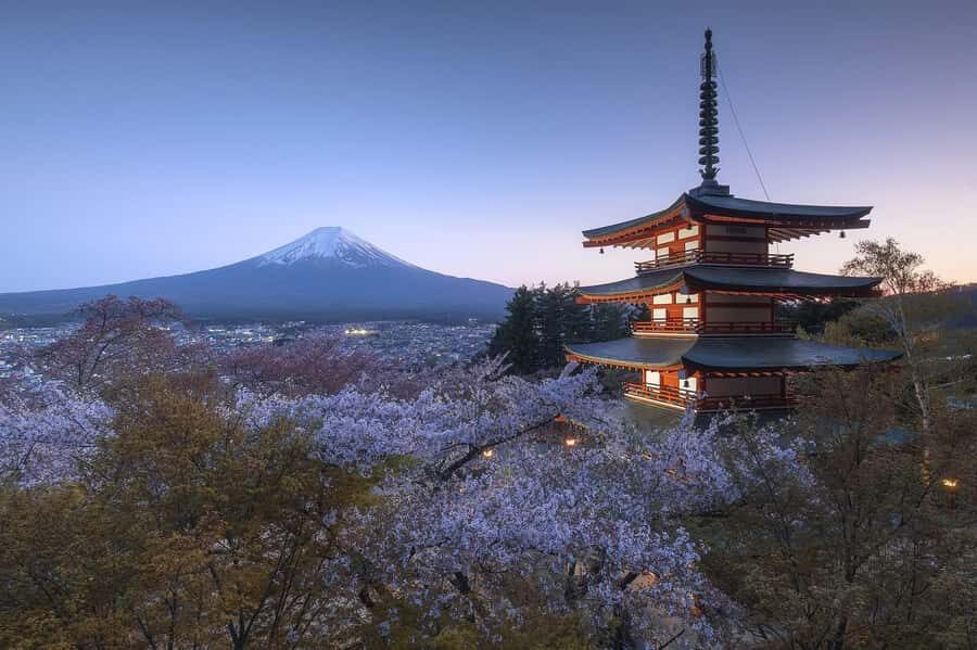 Mount Fuji Full-Day Private Sightseeing Tour with Guide - Your Guide: English-Speaking, Hands-On, and Flexible