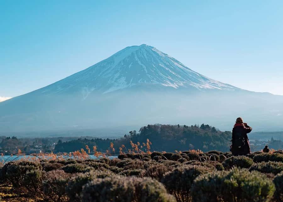 Mount Fuji Full-Day Private Sightseeing Tour with Guide - A Real-World Fuji Day From Tokyo (Without the Squeeze)