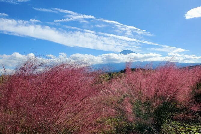 Mount Fuji Full-Day Private Tour from Shimizu Port (Customizable) - Why Shimizu Port is the smart start for a Mount Fuji day