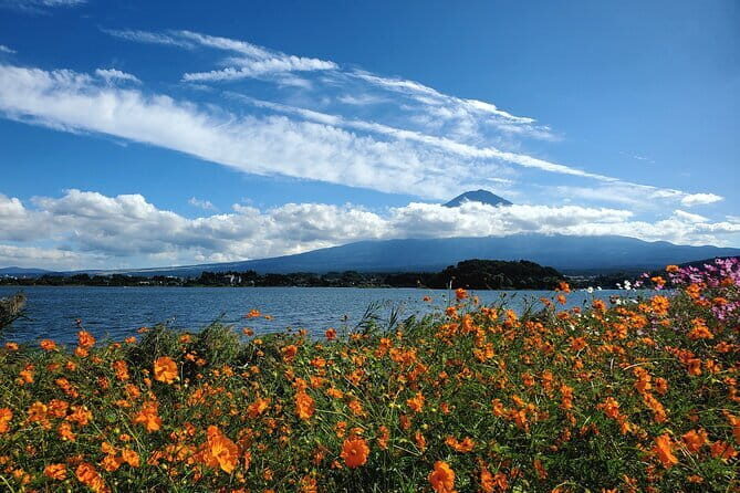 Mount Fuji Full-Day Private Tour from Shimizu Port (Customizable) - Saiko Iyashi no Sato Nemba: walking through the Healing Village