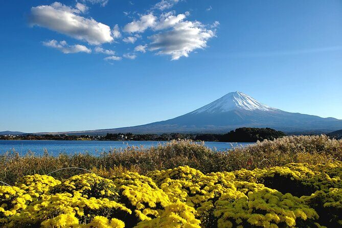 Mount Fuji Full-Day Private Tour from Tokyo (Customizable) - Why a private Fuji day from Tokyo feels worth it