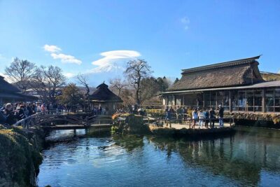 Mount Fuji Full-Day Private Tour from Tokyo (Customizable) - Customizing your Fuji day: how to pick the right mix of lakes and villages