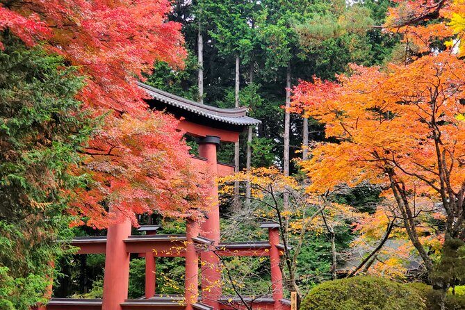 Mount Fuji Full-Day Private Tour from Tokyo (Customizable) - Lake Kawaguchiko: big views, more things to do